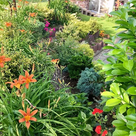 Διαμέρισμα Mit Eigenem Bad, Kochnische Und Wintergarten Dettum