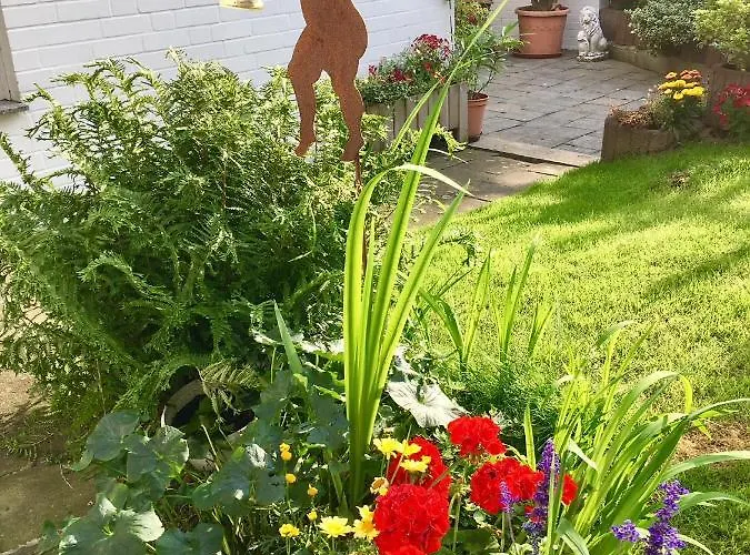 아파트 Mit Eigenem Bad, Kochnische Und Wintergarten