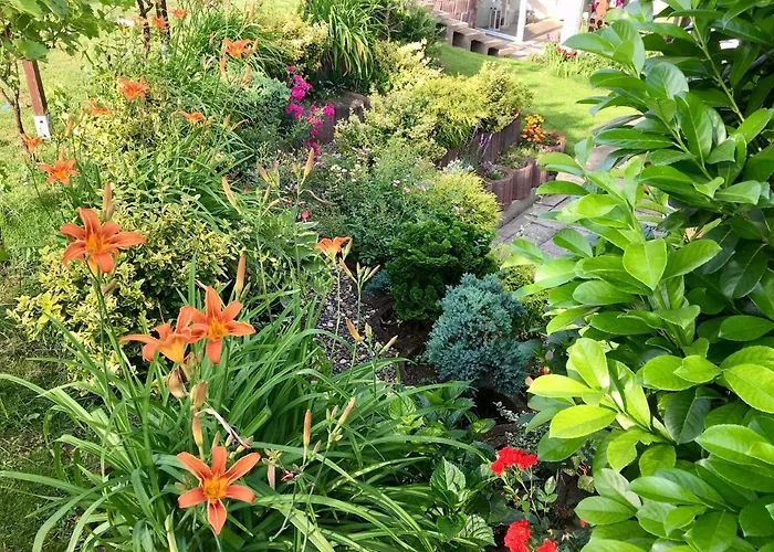 아파트 Mit Eigenem Bad, Kochnische Und Wintergarten Dettum